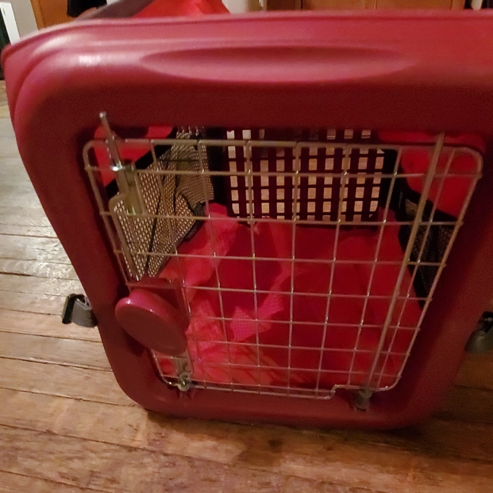 A collapsible dog crate